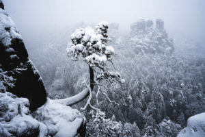 Bastei winter landscape Bastei winter landscape